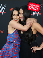 Brie Bella nikki Bella WWE FYC Event in Los Angeles 6th June 2018
2684x3600 2.3 mb
Viewed 1 time
@BestEyeCandy.com