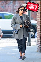 Celebrity Photo: Irina Shayk
2333x3500 2.8 mb
Viewed 0 times
@BestEyeCandy.com