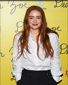 Celebrity Photo: Sadie Sink
1280x1590   337 kb
Viewed 4 times
@BestEyeCandy.com