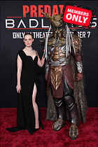 Celebrity Photo: Elle Fanning
2502x3754 1.9 mb
Viewed 0 times
@BestEyeCandy.com