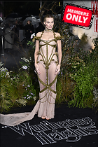 Celebrity Photo: Margot Robbie
4396x6595 6.0 mb
Viewed 1 time
@BestEyeCandy.com