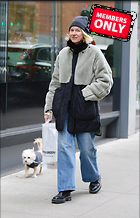 Celebrity Photo: Naomi Watts
2243x3500 2.3 mb
Viewed 0 times
@BestEyeCandy.com