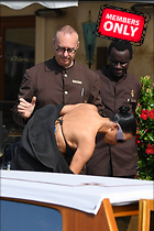 Celebrity Photo: Kimberly Kardashian
2333x3500 2.3 mb
Viewed 1 time
@BestEyeCandy.com