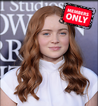 Celebrity Photo: Sadie Sink
3000x3261   1.6 mb
Viewed 1 time
@BestEyeCandy.com