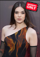 Celebrity Photo: Hailee Steinfeld
2459x3500 3.6 mb
Viewed 1 time
@BestEyeCandy.com