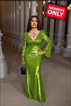 Celebrity Photo: Salma Hayek
3609x5413 3.3 mb
Viewed 0 times
@BestEyeCandy.com