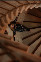 Celebrity Photo: Alicia Silverstone
1200x1800 176 kb
Viewed 6 times
@BestEyeCandy.com