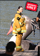 Celebrity Photo: Jenna Dewan-Tatum
2365x3249 2.0 mb
Viewed 0 times
@BestEyeCandy.com