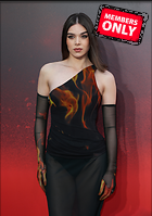 Celebrity Photo: Hailee Steinfeld
3552x5052 3.2 mb
Viewed 1 time
@BestEyeCandy.com