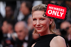 Celebrity Photo: Cate Blanchett
8192x5464 2.9 mb
Viewed 0 times
@BestEyeCandy.com
