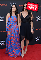 Brie Bella nikki Bella WWE FYC Event in Los Angeles 6th June 2018
3000x4319 2.4 mb
Viewed 1 time
@BestEyeCandy.com