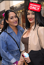 Celebrity Photo: Brie Bella
2342x3500 2.5 mb
Viewed 0 times
@BestEyeCandy.com