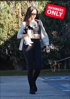 Celebrity Photo: Ana De Armas
1807x2556 1.6 mb
Viewed 0 times
@BestEyeCandy.com