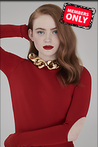 Celebrity Photo: Sadie Sink
5504x8256   3.8 mb
Viewed 1 time
@BestEyeCandy.com
