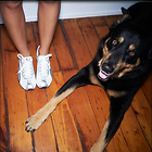 Celebrity Photo: Emily Ratajkowski
1200x1199 173 kb
Viewed 10 times
@BestEyeCandy.com