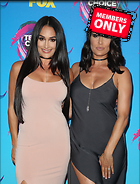 Brie Bella nikki Bella Teen Choice Awards Los Angeles 13 August 2017 x19
2740x3600 1.9 mb
Viewed 1 time
@BestEyeCandy.com