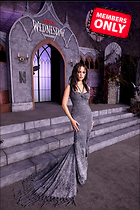 Celebrity Photo: Jenna Ortega
2605x3907   3.3 mb
Viewed 0 times
@BestEyeCandy.com