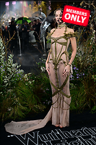 Celebrity Photo: Margot Robbie
3615x5422 1.7 mb
Viewed 0 times
@BestEyeCandy.com