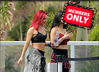 Brie Bella nikki Bella and Natalya Neidhart hang out with dancer Sharna Burgess while seen in Miami Beach 30.05.2018 47x
3000x2191 2.2 mb
Viewed 1 time
@BestEyeCandy.com