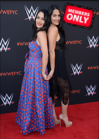 Brie Bella nikki Bella WWE FYC Event in Los Angeles 6th June 2018
3000x4219 2.2 mb
Viewed 1 time
@BestEyeCandy.com