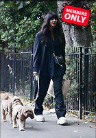 Jameela Jamil in a Dark Suit Jacket and Matching Trousers and Holding Her Harrods Bag Out in London 08-15-2024
2441x3500 3.4 mb
Viewed 1 time
@BestEyeCandy.com