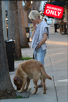 Celebrity Photo: Selma Blair
2333x3500 3.1 mb
Viewed 1 time
@BestEyeCandy.com