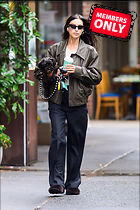 Celebrity Photo: Irina Shayk
2043x3061 2.3 mb
Viewed 0 times
@BestEyeCandy.com