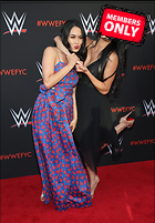 Brie Bella nikki Bella WWE FYC Event in Los Angeles 6th June 2018
2439x3500 2.3 mb
Viewed 1 time
@BestEyeCandy.com