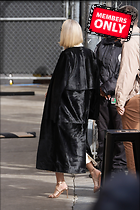 Celebrity Photo: Naomi Watts
2333x3499   2.5 mb
Viewed 0 times
@BestEyeCandy.com