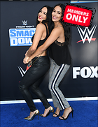 Brie Bella nikki Bella WWE 20th Anniversary Celebration Staples Center Los Angeles 04.10.2019 x86
2482x3229 2.9 mb
Viewed 1 time
@BestEyeCandy.com