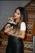 Becky G despierta America Morning Show at Univisions Headquarters in Miami November 2015
1280x1920 272 kb
Viewed 10 times
@BestEyeCandy.com