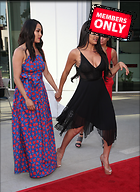 Brie Bella nikki Bella WWE FYC Event in Los Angeles 6th June 2018
2546x3500 2.1 mb
Viewed 1 time
@BestEyeCandy.com