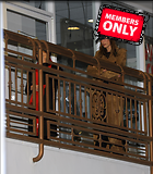 Celebrity Photo: Hailey Baldwin
3072x3500 2.7 mb
Viewed 0 times
@BestEyeCandy.com