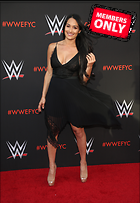 Brie Bella nikki Bella WWE FYC Event in Los Angeles 6th June 2018
2479x3600 2.0 mb
Viewed 1 time
@BestEyeCandy.com