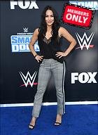 Brie Bella nikki Bella WWE 20th Anniversary Celebration Staples Center Los Angeles 04.10.2019 x86
2553x3500 2.6 mb
Viewed 1 time
@BestEyeCandy.com