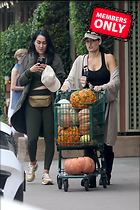 Brie Bella nIKKI and Out Shopping for Pumpkins in Napa Valley 09-20-2024
2154x3231 3.2 mb
Viewed 1 time
@BestEyeCandy.com