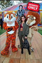 Celebrity Photo: Isabela Merced
2637x3955 1.6 mb
Viewed 0 times
@BestEyeCandy.com