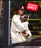 Celebrity Photo: Kendall Jenner
1690x1950 2.0 mb
Viewed 1 time
@BestEyeCandy.com