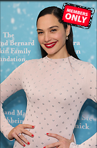 Celebrity Photo: Gal Gadot
2293x3500 2.0 mb
Viewed 0 times
@BestEyeCandy.com