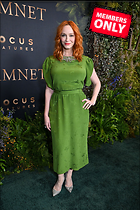 Celebrity Photo: Christina Hendricks
1365x2048 1.6 mb
Viewed 1 time
@BestEyeCandy.com