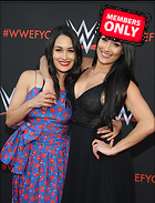 Brie Bella nikki Bella WWE FYC Event in Los Angeles 6th June 2018
2676x3500 2.3 mb
Viewed 1 time
@BestEyeCandy.com