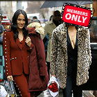 Brie Bella nikki Bella on Good Day New York Fox 5 24.01..20.2019
2550x2550 2.3 mb
Viewed 1 time
@BestEyeCandy.com