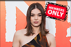 Celebrity Photo: Hailee Steinfeld
4875x3250 2.7 mb
Viewed 1 time
@BestEyeCandy.com