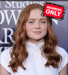 Celebrity Photo: Sadie Sink
3000x3302   1.6 mb
Viewed 1 time
@BestEyeCandy.com