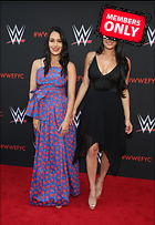 Brie Bella nikki Bella WWE FYC Event in Los Angeles 6th June 2018
2417x3500 2.2 mb
Viewed 1 time
@BestEyeCandy.com