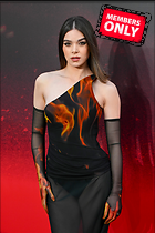 Celebrity Photo: Hailee Steinfeld
2668x4002 1.9 mb
Viewed 1 time
@BestEyeCandy.com