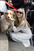 Celebrity Photo: Amanda Seyfried
1280x1921 361 kb
Viewed 9 times
@BestEyeCandy.com