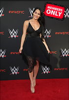 Brie Bella nikki Bella WWE FYC Event in Los Angeles 6th June 2018
2477x3600 2.1 mb
Viewed 1 time
@BestEyeCandy.com