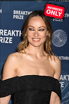 Celebrity Photo: Olivia Wilde
2333x3500 1.9 mb
Viewed 1 time
@BestEyeCandy.com
