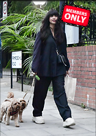 Jameela Jamil in a Dark Suit Jacket and Matching Trousers and Holding Her Harrods Bag Out in London 08-15-2024
2473x3500 2.9 mb
Viewed 1 time
@BestEyeCandy.com